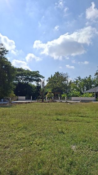 ใช่ ที่ดินสวย ใกล้ถนนตัดใหม่ต้นเปา-สันกำแพง เดินไปตลาด 2นาที รูปที่ 4