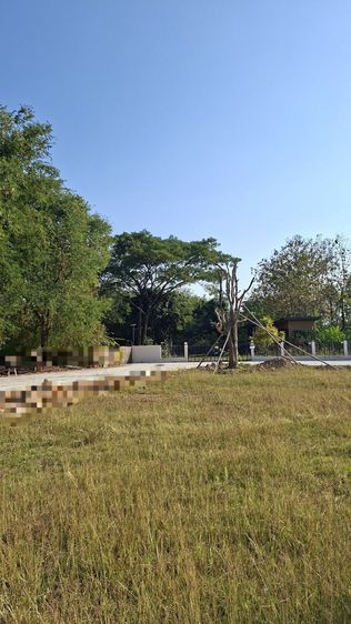 ใช่ ที่ดินสวย ใกล้ถนนตัดใหม่ต้นเปา-สันกำแพง เดินไปตลาด 2นาที รูปที่ 3