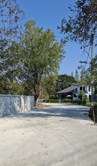 ที่ดินสวย ใกล้ถนนตัดใหม่ต้นเปา-สันกำแพง เดินไปตลาด 2นาที