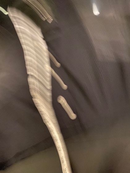 ชาแนล (ติดจองค่ะ)เสื้อคลุมแจ๊กเกต แขนโคมไฟ สภาพใหม่เอี่ยม รูปที่ 14