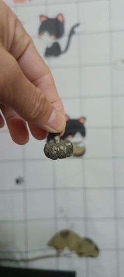 เครื่องรางหรือของสะสมขนาดเล็ก
วัสดุ: โลหะ
โบราณ