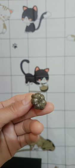 เครื่องรางหรือของสะสมขนาดเล็ก
วัสดุ: โลหะ
โบราณ รูปที่ 2