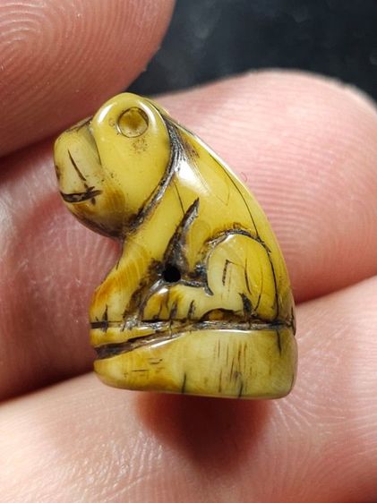 ⛳️เสือหลวงพ่อปาน วัดบางเหี้ย รูปที่ 3