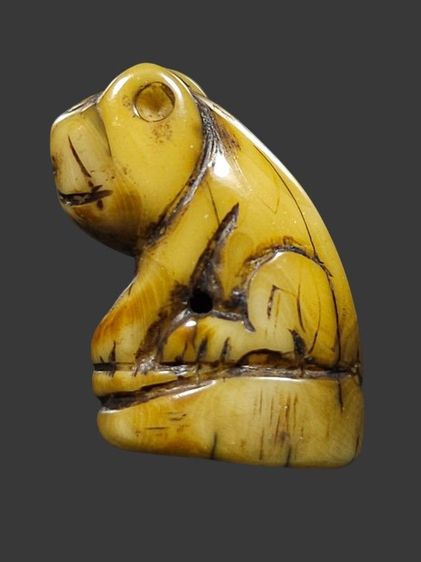 ⛳️เสือหลวงพ่อปาน วัดบางเหี้ย รูปที่ 5