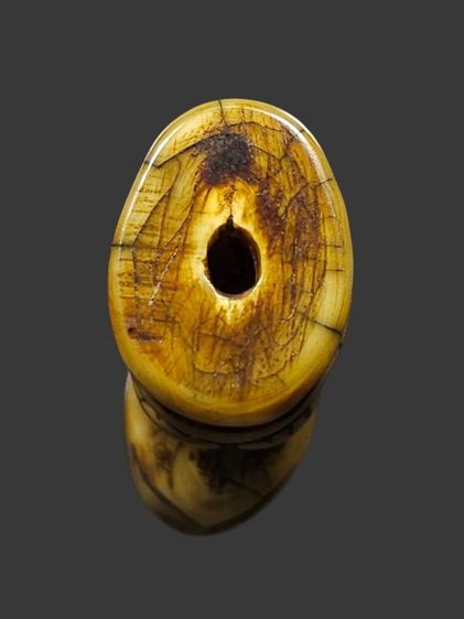 ⛳️เสือหลวงพ่อปาน วัดบางเหี้ย รูปที่ 4