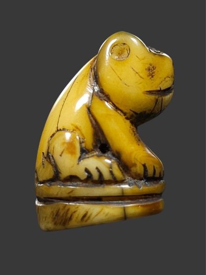 ⛳️เสือหลวงพ่อปาน วัดบางเหี้ย รูปที่ 6