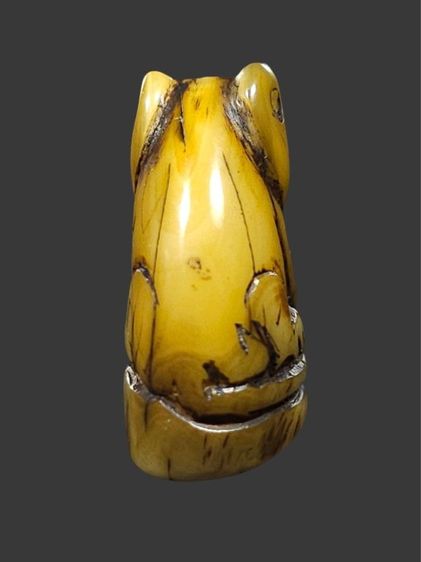 ⛳️เสือหลวงพ่อปาน วัดบางเหี้ย รูปที่ 7