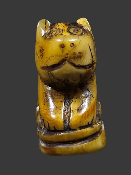 ⛳️เสือหลวงพ่อปาน วัดบางเหี้ย รูปที่ 8