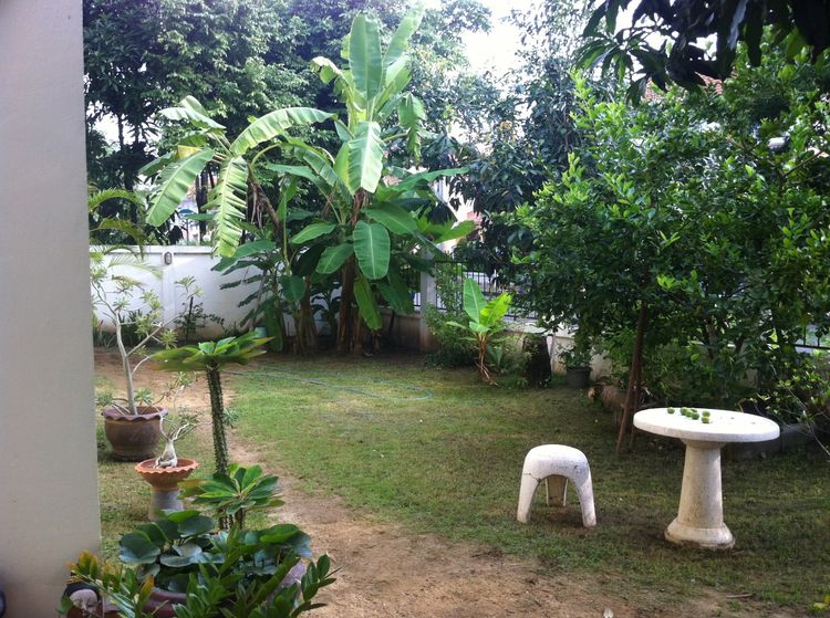 อื่นๆ ไม่มี สร้างเสร็จก่อน 2010 ขายถูก บ้านเดี๋ยว 2 ชั้น ลลืลอินเดอะพาร์ค วัชรพล รูปที่ 4