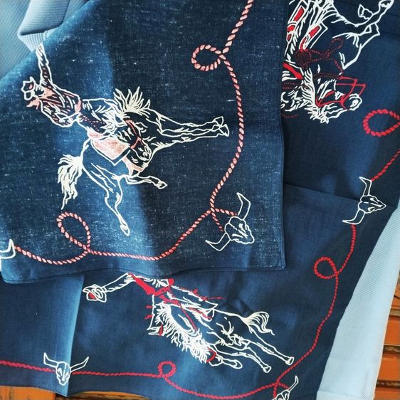 RRL Ralph Lauren Made in Japan Indigo Western Cowboy Bandanna รูปที่ 3