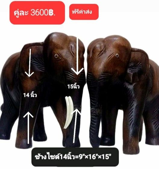 ช้างไม้แกะสลัก(ราคาต่อ2ตัว)ไซด์เล็ก3"ถึงไซด์ใหญ่14" ฟรีค่าส่ง มีปลายทาง รูปที่ 14