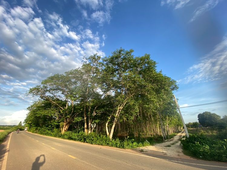 ขายที่ดินติดนิคม WHA  รูปที่ 2