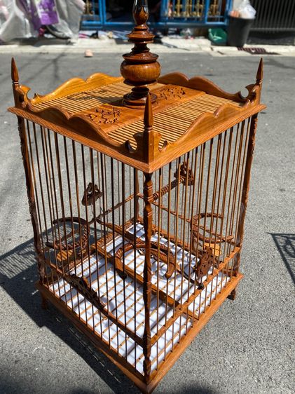 กรงหัวจุก รูปที่ 5