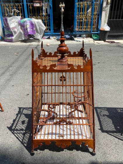 กรงหัวจุก รูปที่ 4