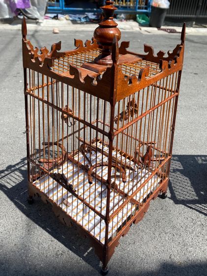 กรงหัวจุก รูปที่ 6