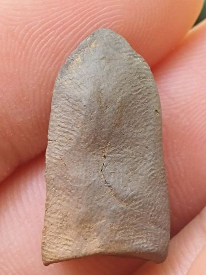 พระรอดลำพูน รูปที่ 2