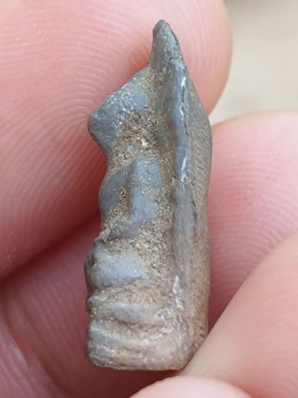 พระรอดลำพูน รูปที่ 3