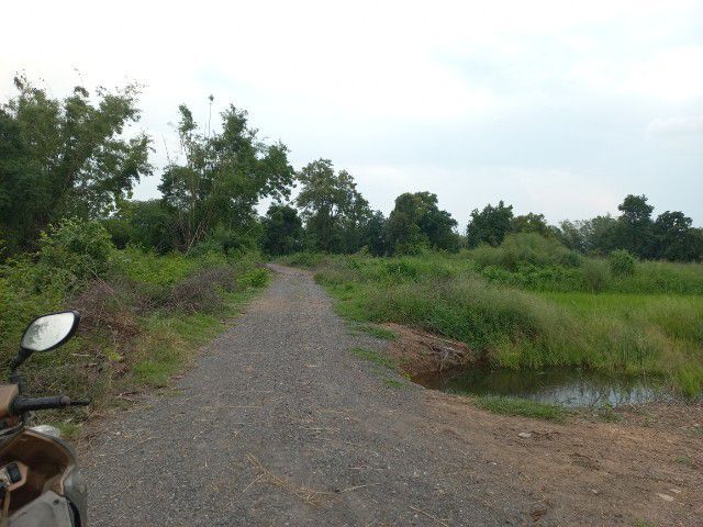 ขายที่ดิน2ไร่ รูปที่ 3