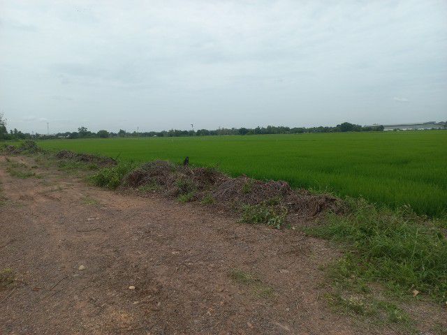 ขายที่ดิน2ไร่ รูปที่ 2