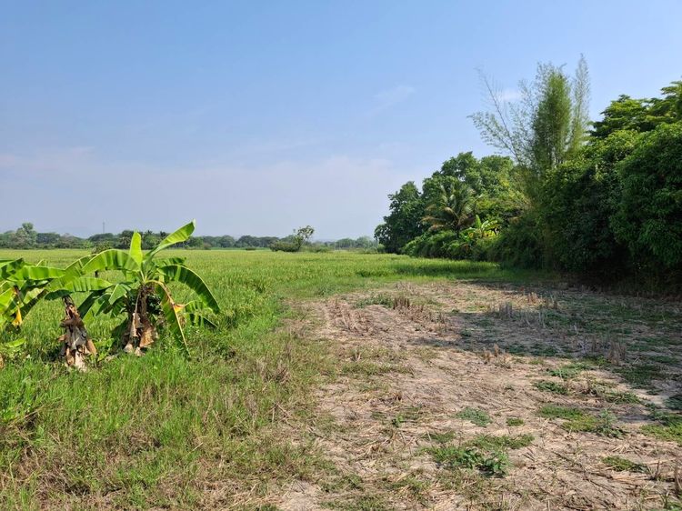 ที่ดิน รูปที่ 3