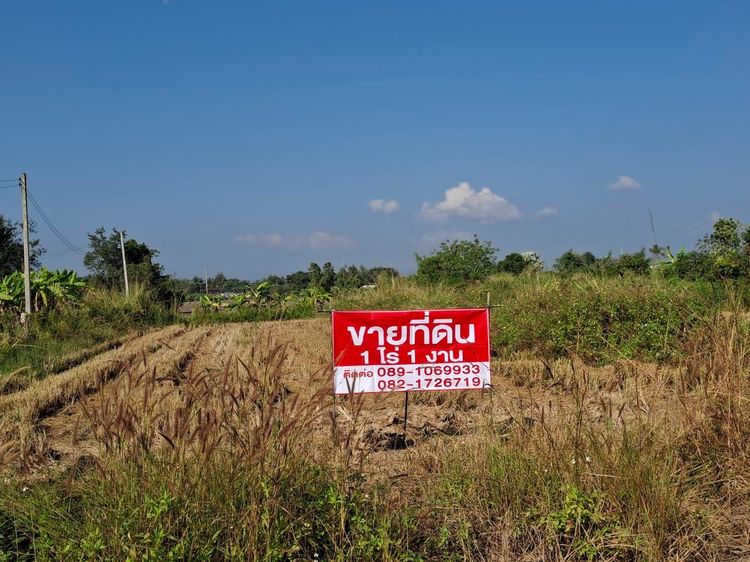 ที่ดิน รูปที่ 4