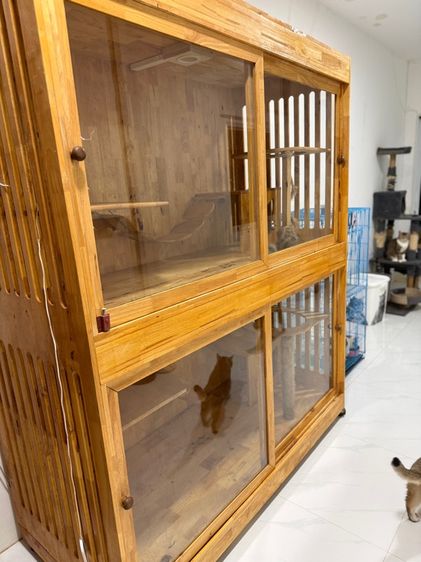 ตู้แมว บ้านแมว รูปที่ 4