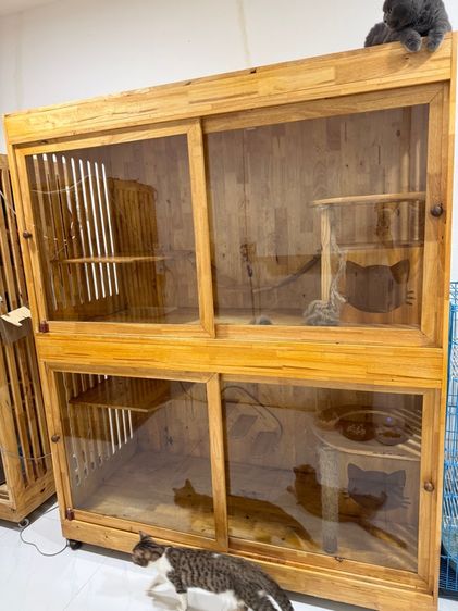 ตู้แมว บ้านแมว รูปที่ 3