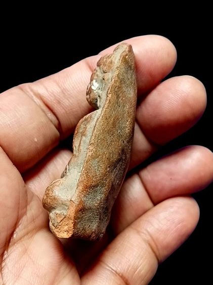 พระเก่าเนื้อดิน ศิลปะลพบุรี หรือหริภุณชัย  รูปที่ 6