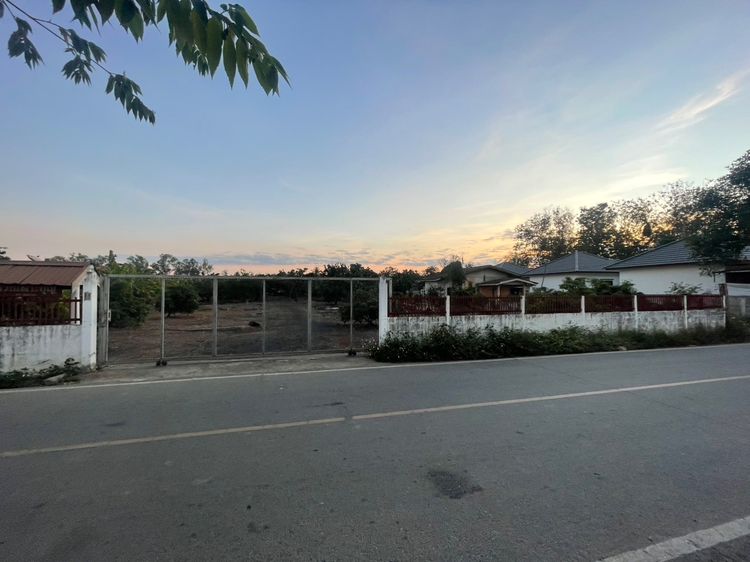 ขายที่ดินสารภี 