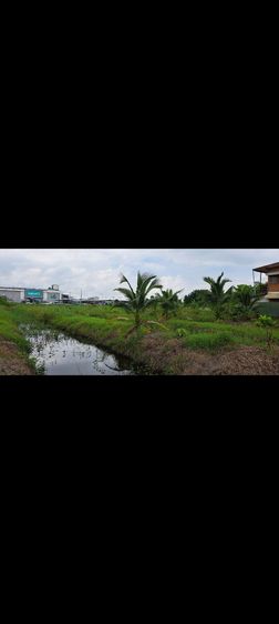 ขายที่ดินเปล่าใกล้แมคโครบางบัวทอง รูปที่ 3