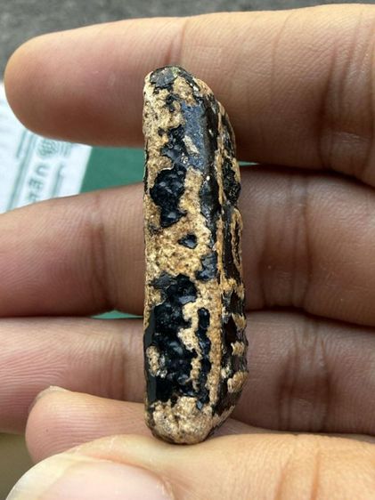 เปิดพระบ้าน รูปที่ 5