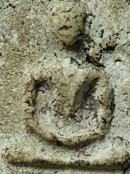 พระสมเด็จเก่า รูปที่ 7