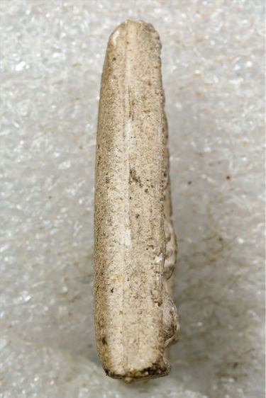 นางพญาหลวงปู่เผือก ออกวัดสลุด ผิวเดิมๆ พระสวย รูปที่ 3