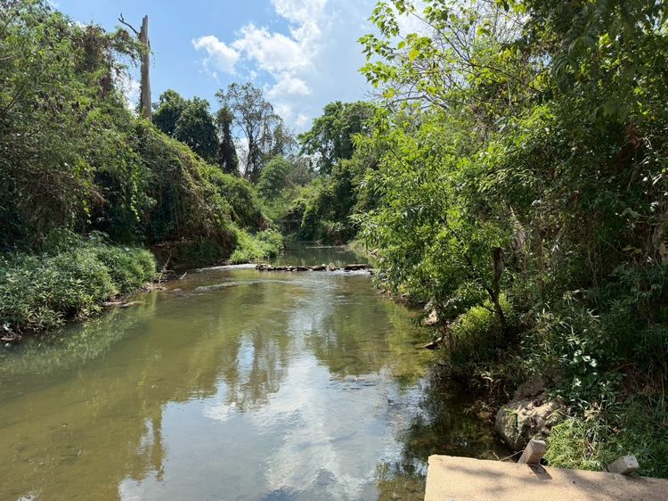 ขายที่ดินติดริมน้ำใจกลางปากช่อง (1-1-4 ไร่.) วาล่ะ 22,000 บาท    ราคาตลาด  ก่อนปรับขึ้นฯ   เพียง 11 ลบ โฉนดครุฑแดง พร้อมโอนฯ  รูปที่ 2