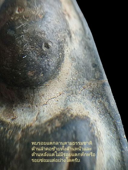 พระร่วง เปิดโลก.  รูปที่ 16