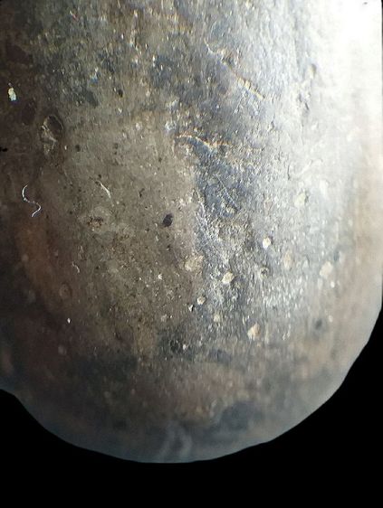 พระร่วง เปิดโลก.  รูปที่ 13