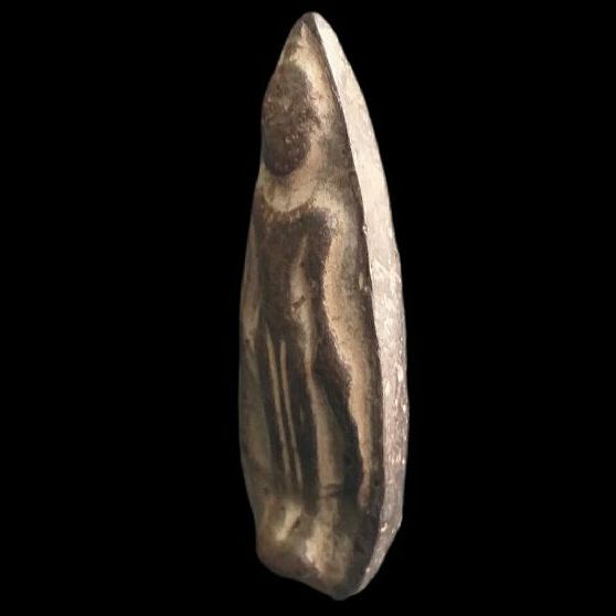 พระร่วง เปิดโลก.  รูปที่ 3