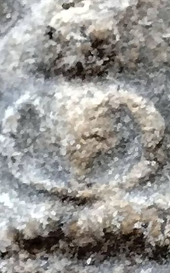 หลวงพ่อปาน วัดบางนมโค อยุธยา เนื้อผงล้วน รูปที่ 5