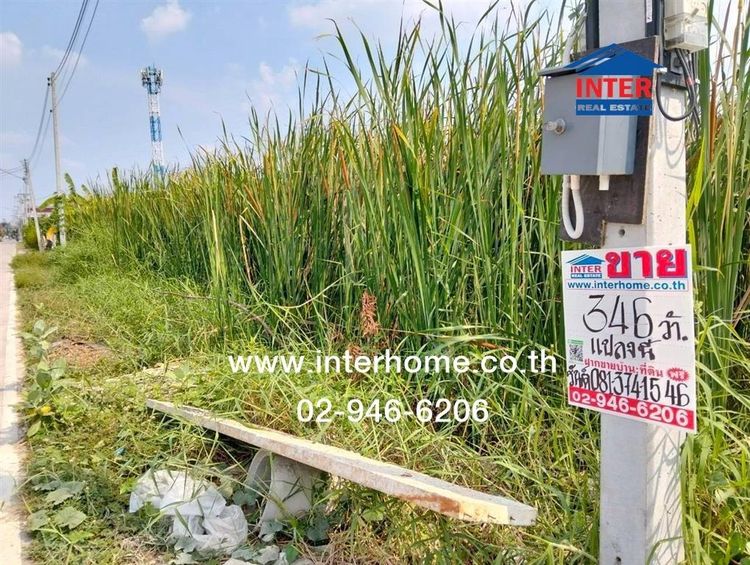 ที่ดินเปล่า 345.8 ตร.ว. ที่ดิน ซอยสามัคคี ถนนคลองหลวง ถนนคลองหนึ่ง คลองหลวง ปทุมธานี รูปที่ 3