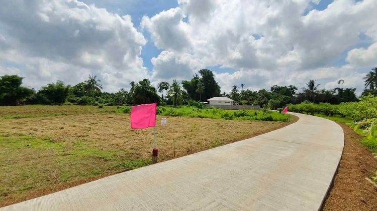 ขายที่ดินแปลงสวย ทำเลดี 1 งาน พัฒนาแล้ว พร้อมสร้างบ้านอยู่ได้เลย น้ำไม่ท่วม รูปที่ 2