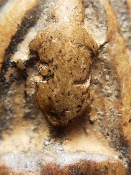 พระลีลาเม็ดขนุน จังหวัด กำแพงเพชร กรุวัดพิกุลทอง  รูปที่ 2