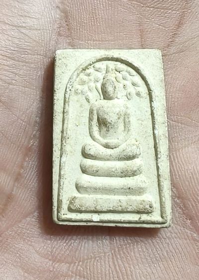 สมเด็จปรกโพธิ์ หลังหลวงปู่คร่ำ