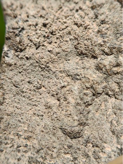 พระชินราชใบเสมา ฐานสูงบัว2ชั้น กรุวัดพระศรีรัตนมหาธาตุ จ.พิษณุโลก พุทธศตวรรษที่ 19  รูปที่ 8
