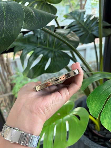 i phone 12pro max รูปที่ 2