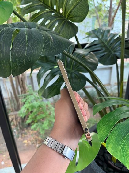 i phone 12pro max รูปที่ 3