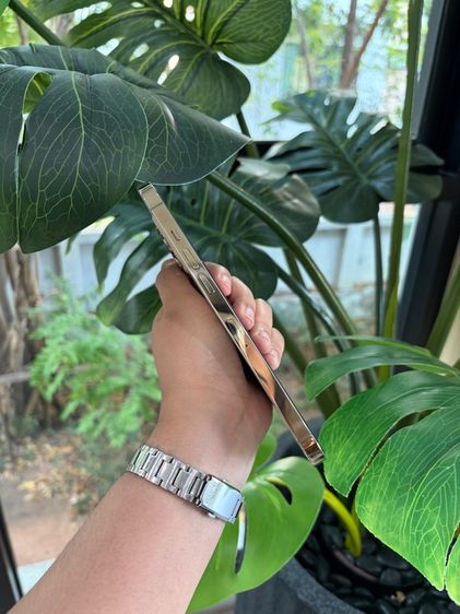 i phone 12pro max รูปที่ 5