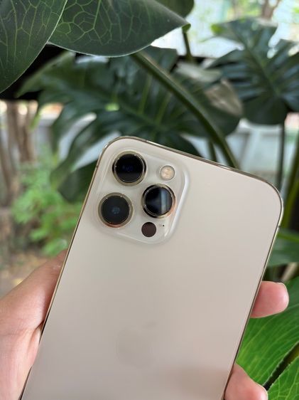 i phone 12pro max รูปที่ 7