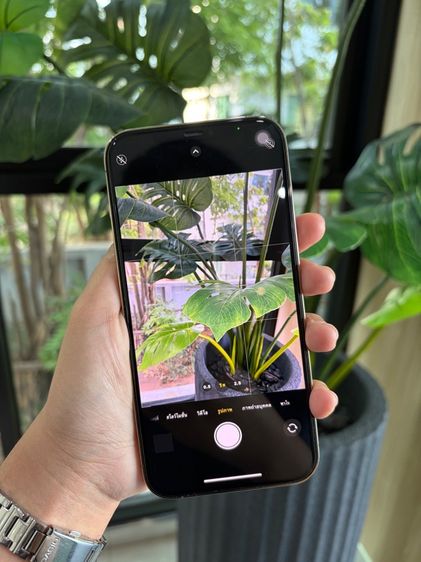 i phone 12pro max รูปที่ 8