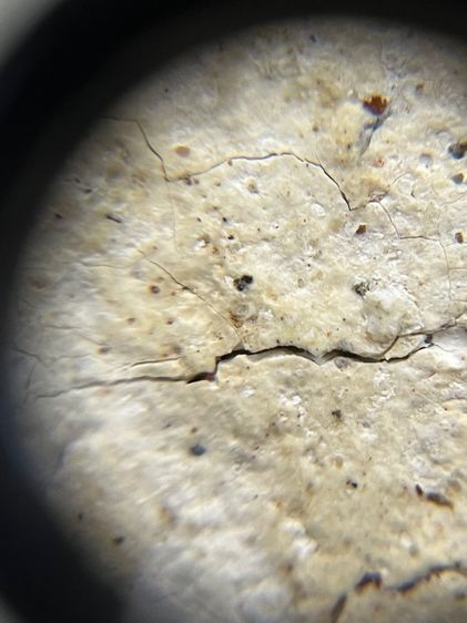 สมเด็จพิมพ์ใหญ่ รูปที่ 9