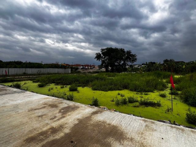 ใช่ ขายที่ดินเปล่า 1ไร่ 14 ตรว. แบ่งขาย 200 ตรว. รูปที่ 2